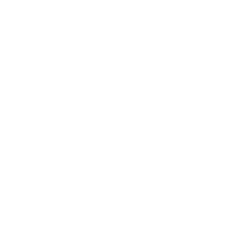 Community Character Shine